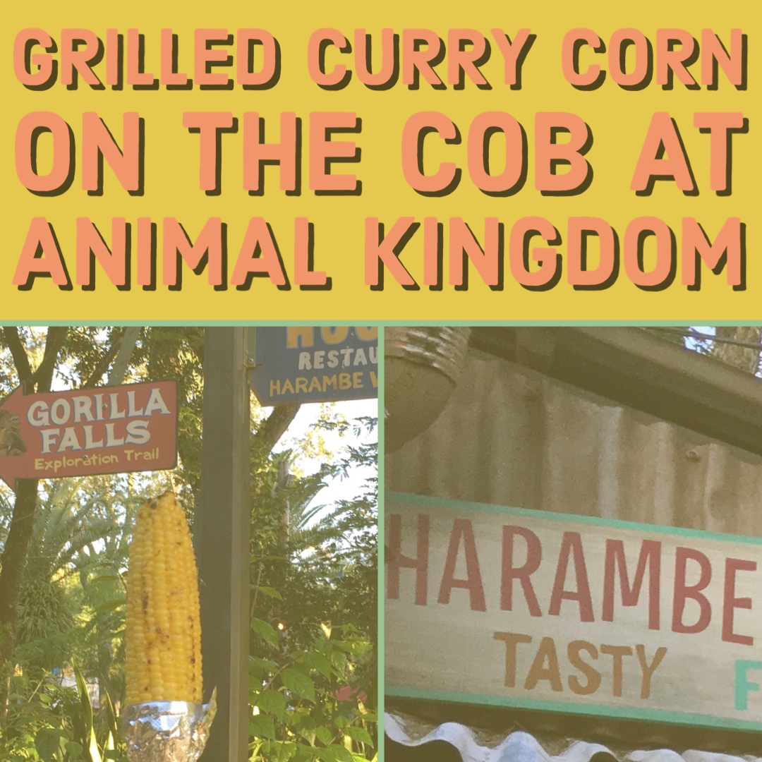 Grilled Curry Corn on the Cob at Animal Kingdom - Theme Park Anthropologist